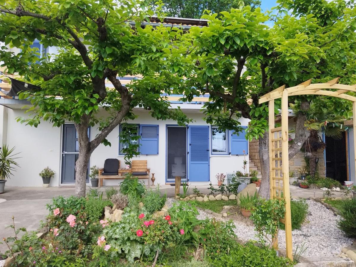 Apartma Salvia-Guest House Lucija Eksteriør billede