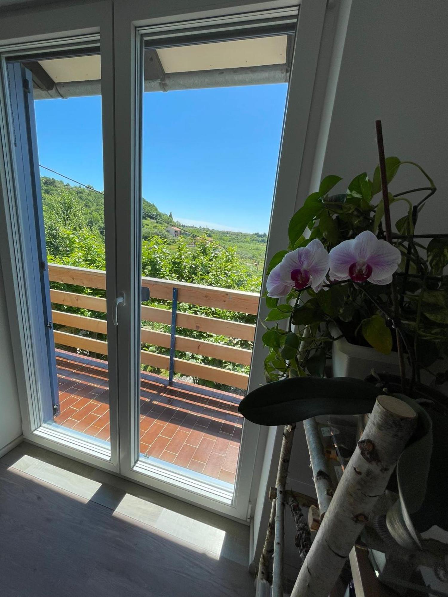Apartma Salvia-Guest House Lucija Eksteriør billede