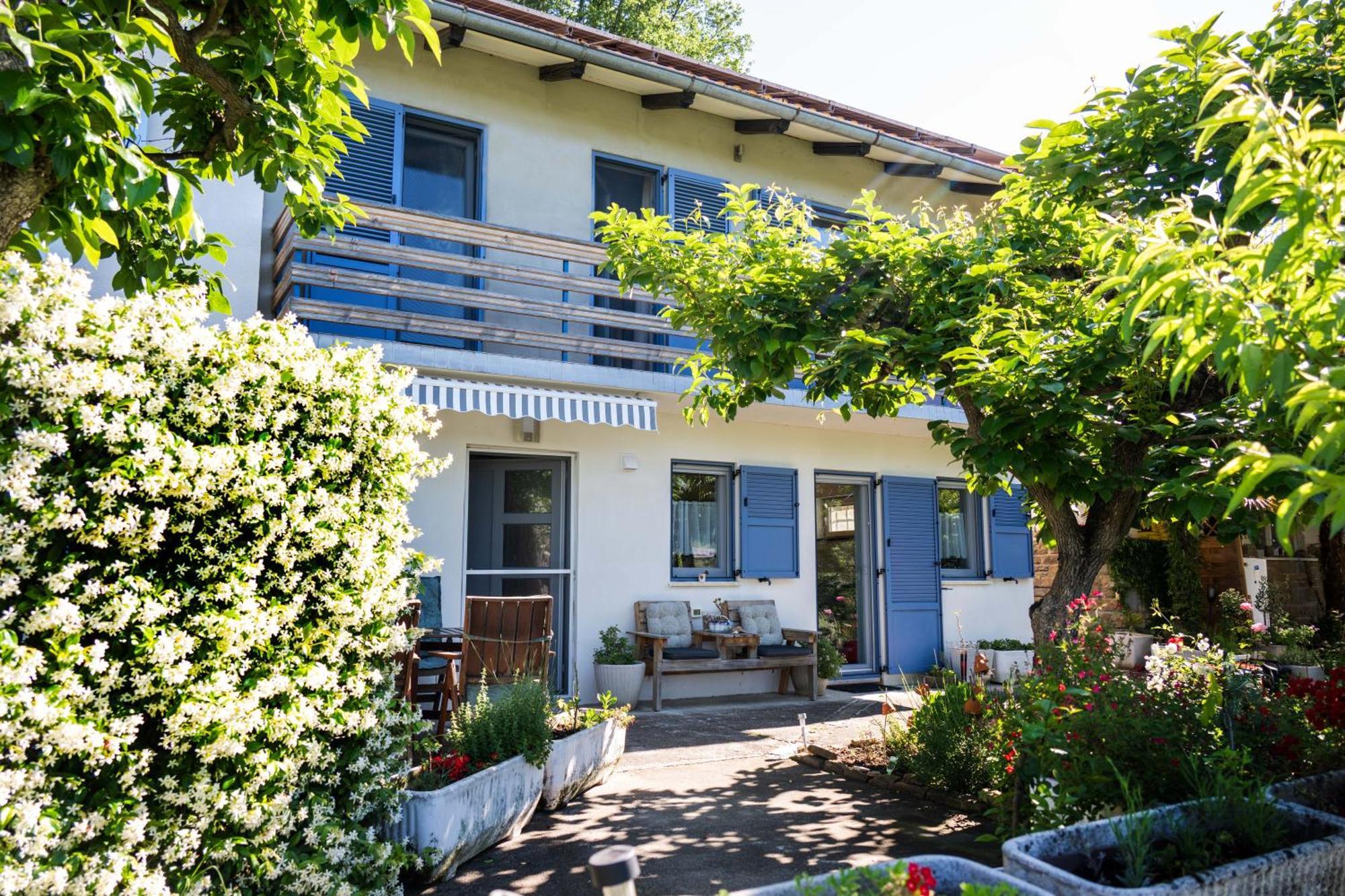 Apartma Salvia-Guest House Lucija Eksteriør billede